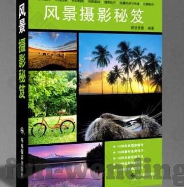 森林舞会电玩秘诀-森林舞会电玩秘诀，提升游戏技巧与策略