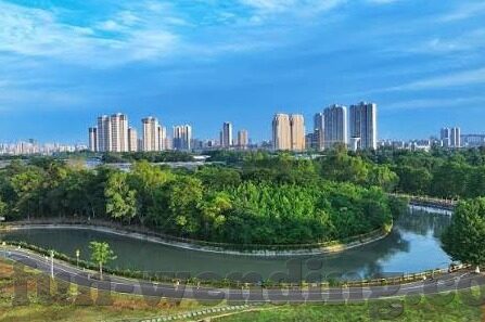 中国足球进世界杯打一电影-中国足球进世界杯，梦想照进现实的银幕传奇